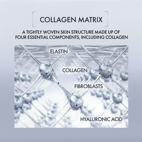 Diagram of a collagen matrix with labeled components on a light gray background