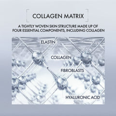 Diagram of a collagen matrix with labeled components on a light gray background