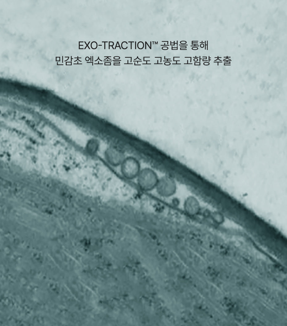 Microscopic view of cells with text about EXO-TRACTION method on a gray background
