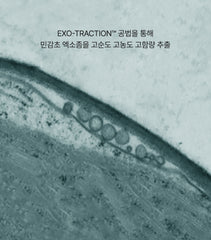 Microscopic view of cells with text about EXO-TRACTION method on a gray background
