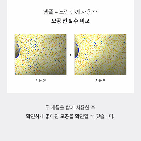 Biodance Pore Tightening Collagen Ampoule 30ml