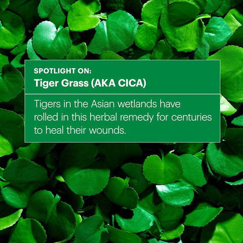 Soonsu Beauty Cicapair Tiger Grass Color Correcting Treatment SPF30 front view