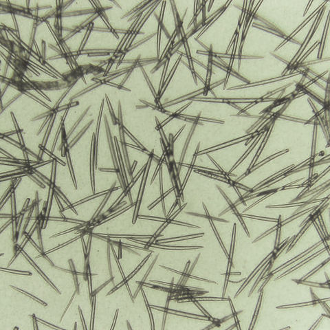 VT Reedle Shot Lip Plumper Beginner 4.3g