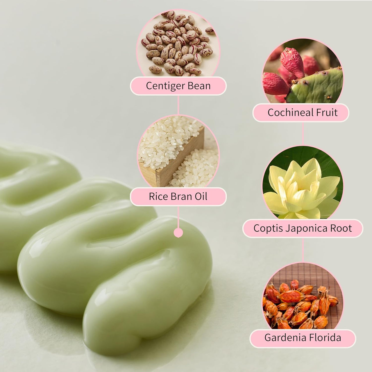 Green soap bar with circular insets showing ingredients like centiger bean, cochineal fruit, rice bran oil, coptis japonica root, and gardenia florida on a light gray background.