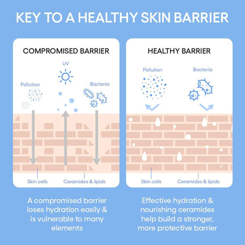 Soonsu Beauty Cream Skin Toner & Moisturizer with Ceramides and Peptides side view