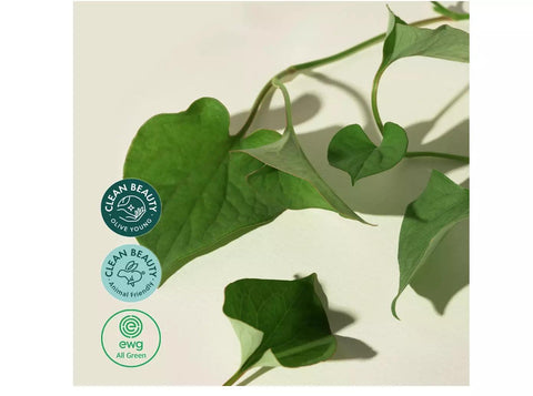 Soonsu Beauty Houttuynia Cordata + Tea Tree Serum packaging design